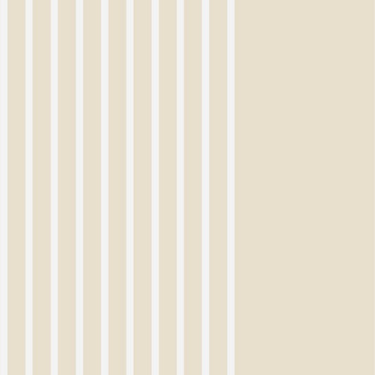 Everyday Ollie Stripe Birch