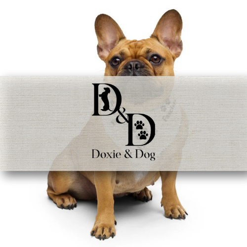 Doxie & Dog
