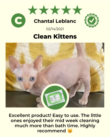 4-ALL PETS REUSABLE PET WIPES*Solution ONLY*
