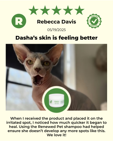 SKIN HEALTH / Healing Skin Salve