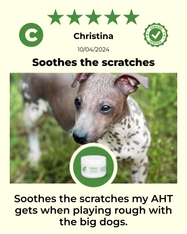SKIN HEALTH / Healing Skin Salve