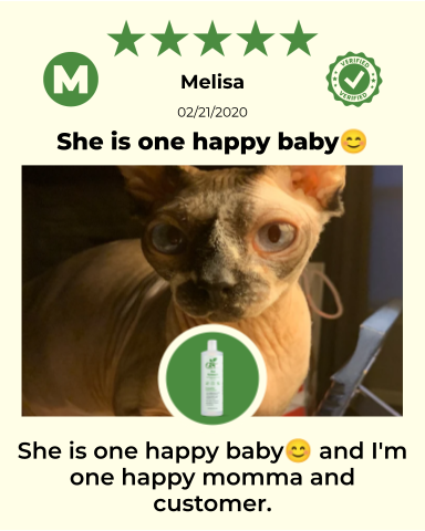 4-ALL PETS EYEWASH