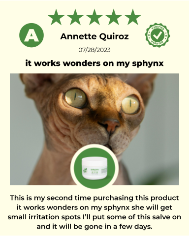 SKIN HEALTH / Healing Skin Salve
