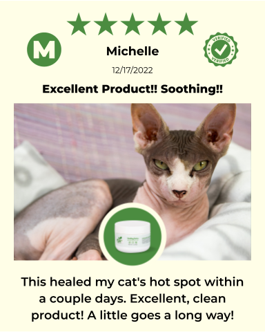 SKIN HEALTH / Healing Skin Salve