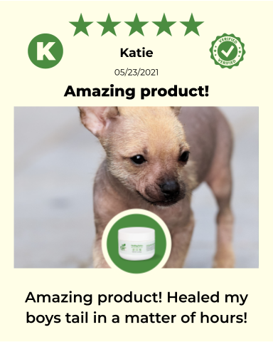 SKIN HEALTH / Healing Skin Salve