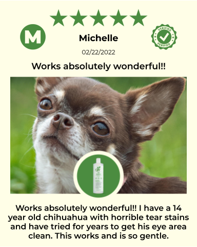 4-FURRY DOGS *REGULAR GROOMING KIT