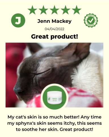 SKIN HEALTH / Healing Skin Salve