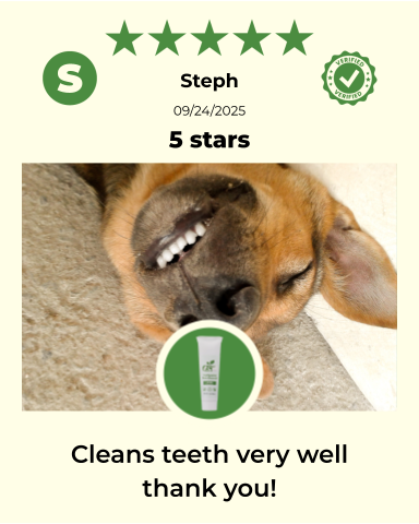 4-FURRY DOGS *REGULAR GROOMING KIT