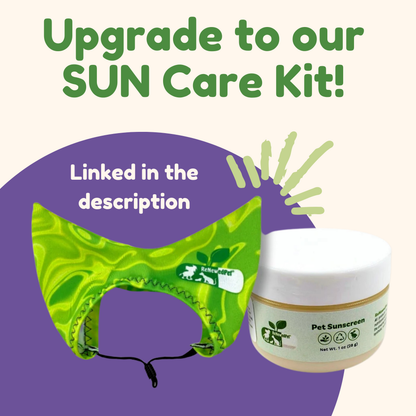 SUN CARE KIT