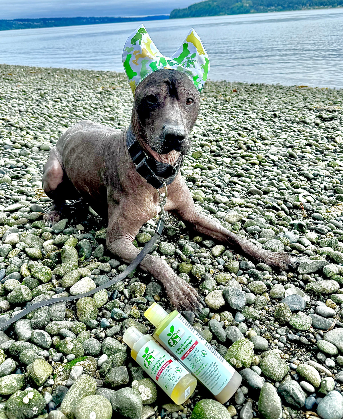 4-ALL PETS SHOWER / EAR / SUN CAP!