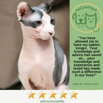 PET HEALTH & BEHAVIOR CONSULTS