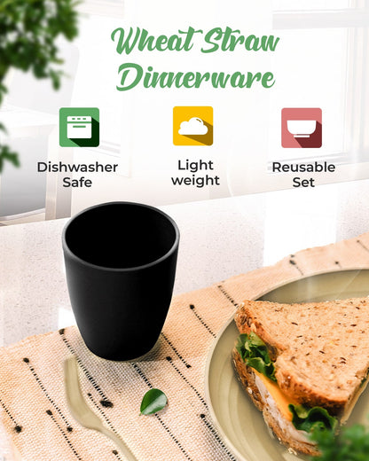 Eco-Friendly Combo Sets