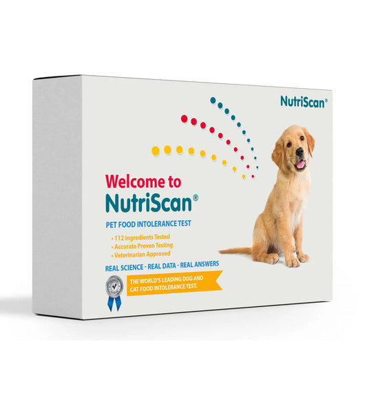 DOG FOOD ALLERGY/ SENSITIVTY TEST!
