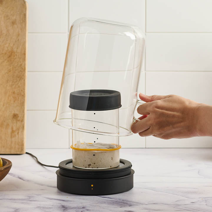 Goldie by Sourhouse + Cooling Puck (fulfilled by Sourhouse)