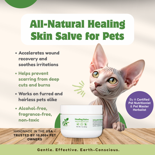 SKIN HEALTH / Healing Skin Salve