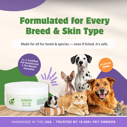 SKIN HEALTH / Healing Skin Salve