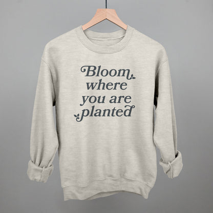 Bloom Where You Are Planted