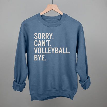 Sorry Can't Volleyball Bye