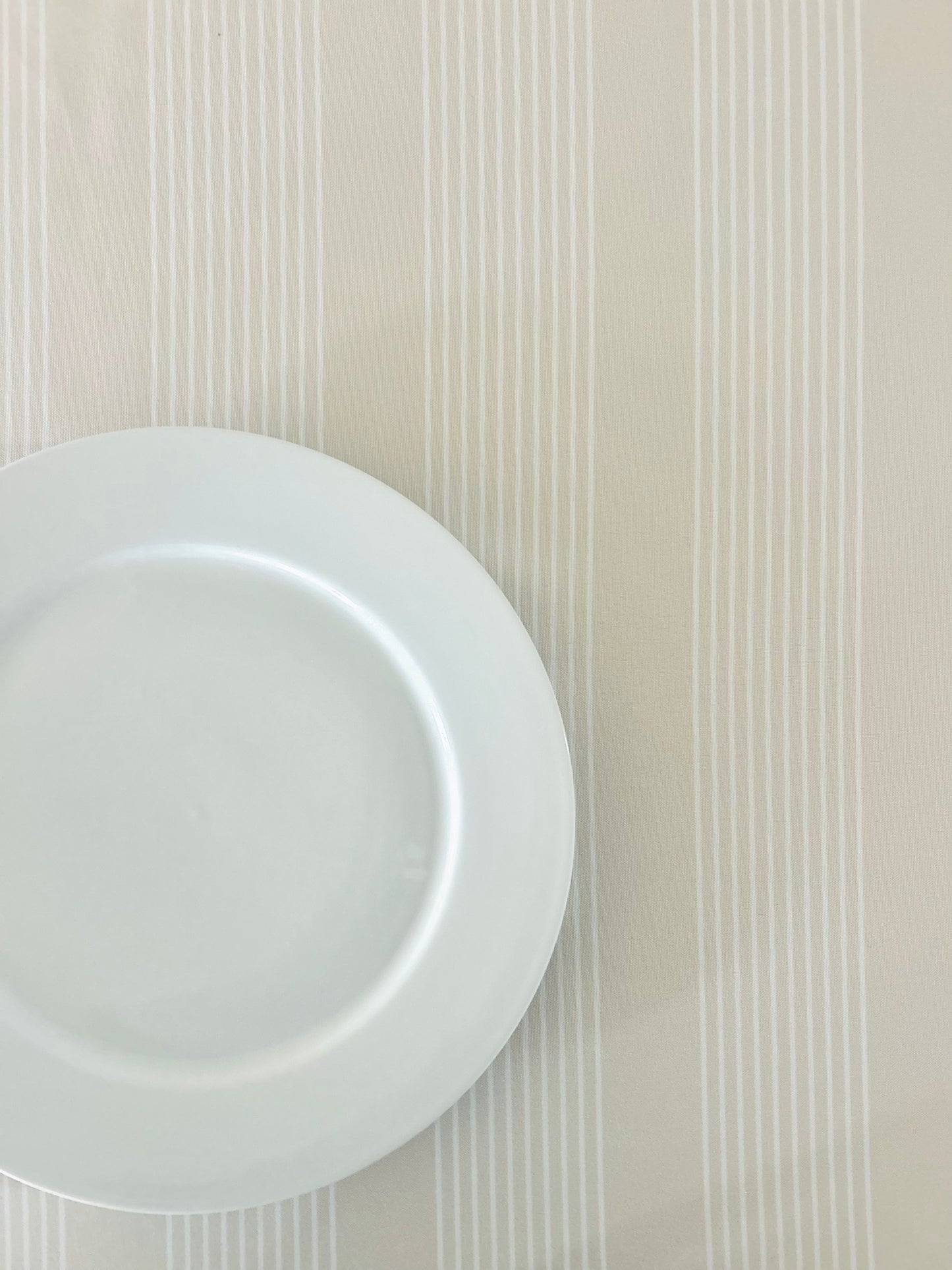 Everyday Ollie Stripe Birch