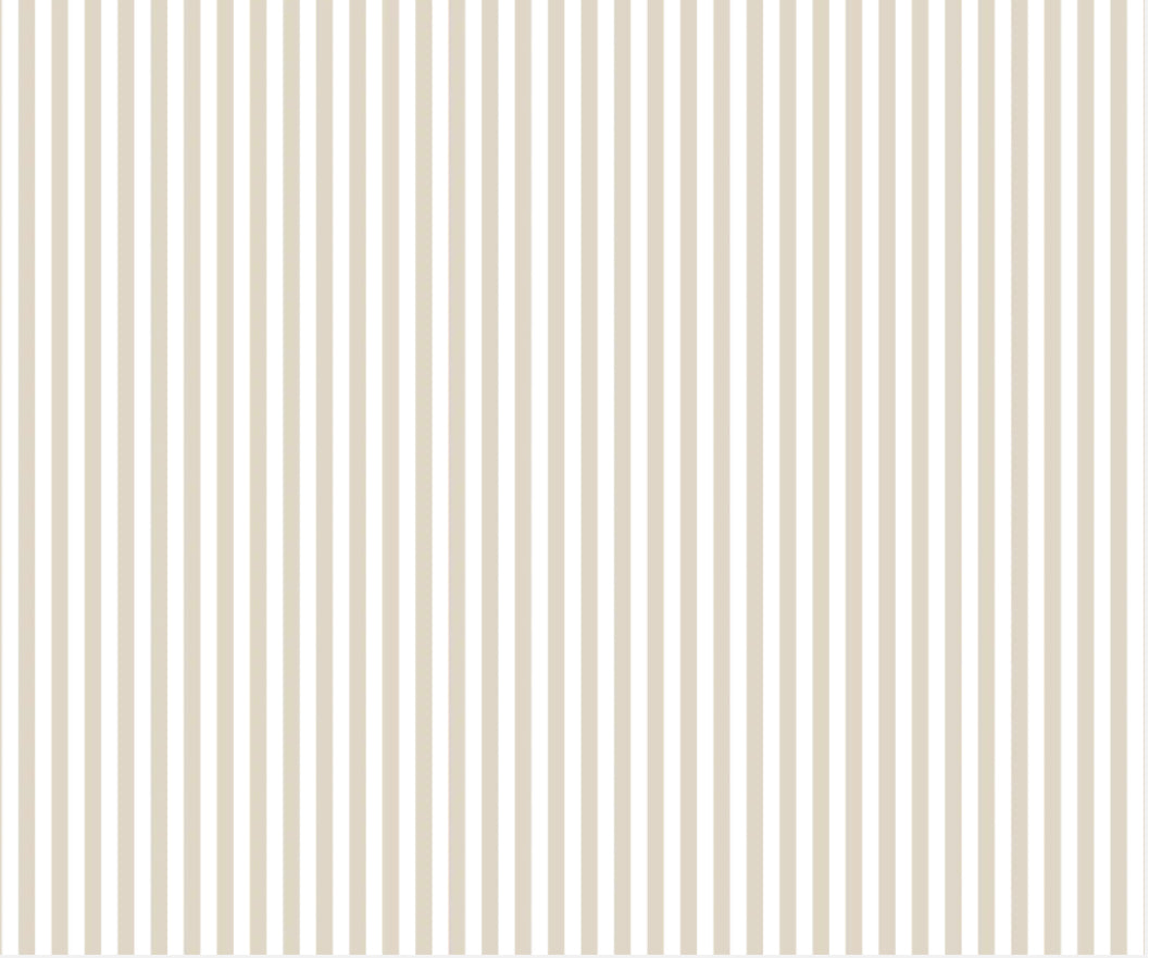 Everyday Watercolor Stripe - Birch