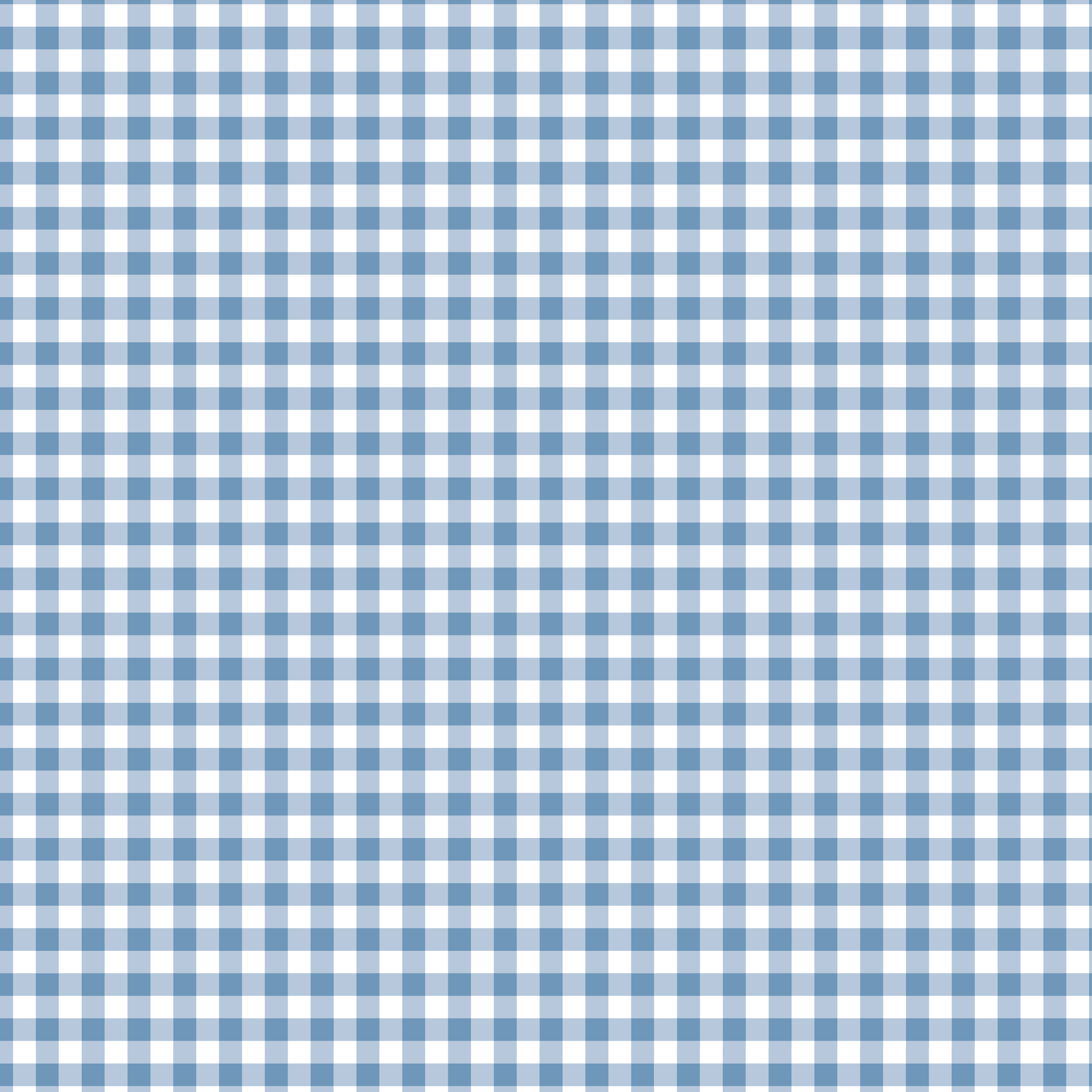 Everyday August Gingham - French Blue