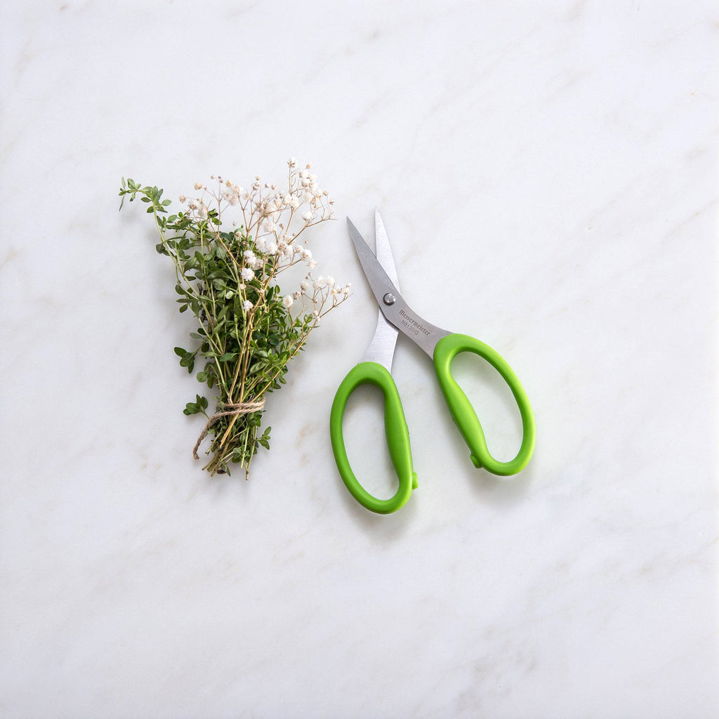Culinary Scissors - 6"