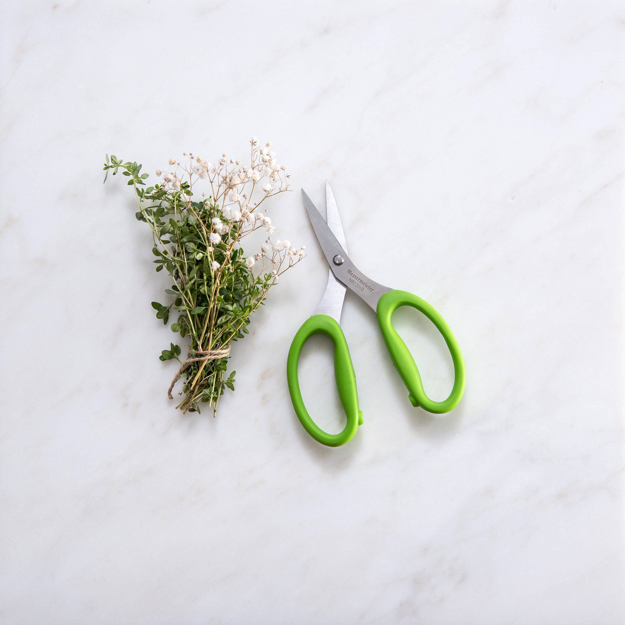 Culinary Scissors - 6"