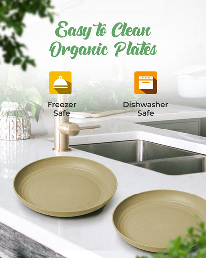 Eco-Friendly Plates Sets