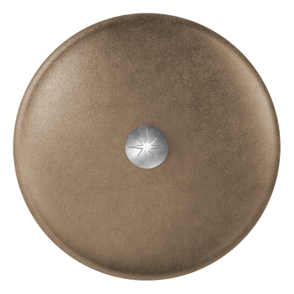 12-Inch Cast Iron Lid
