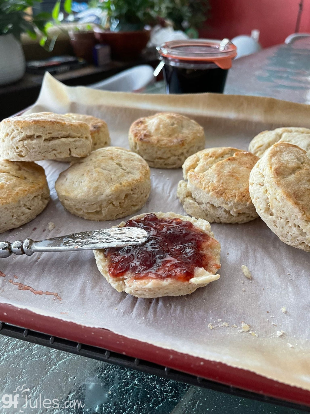 gfJules Gluten Free Corn-Free Multigrain Biscuit & Breakfast Baking Flour