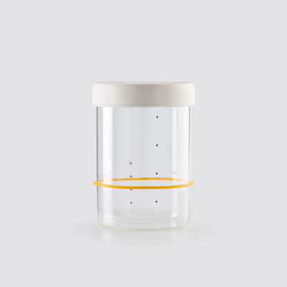 Sourhouse Starter Jars (Pint or Quart) (Fulfilled by Sourhouse)