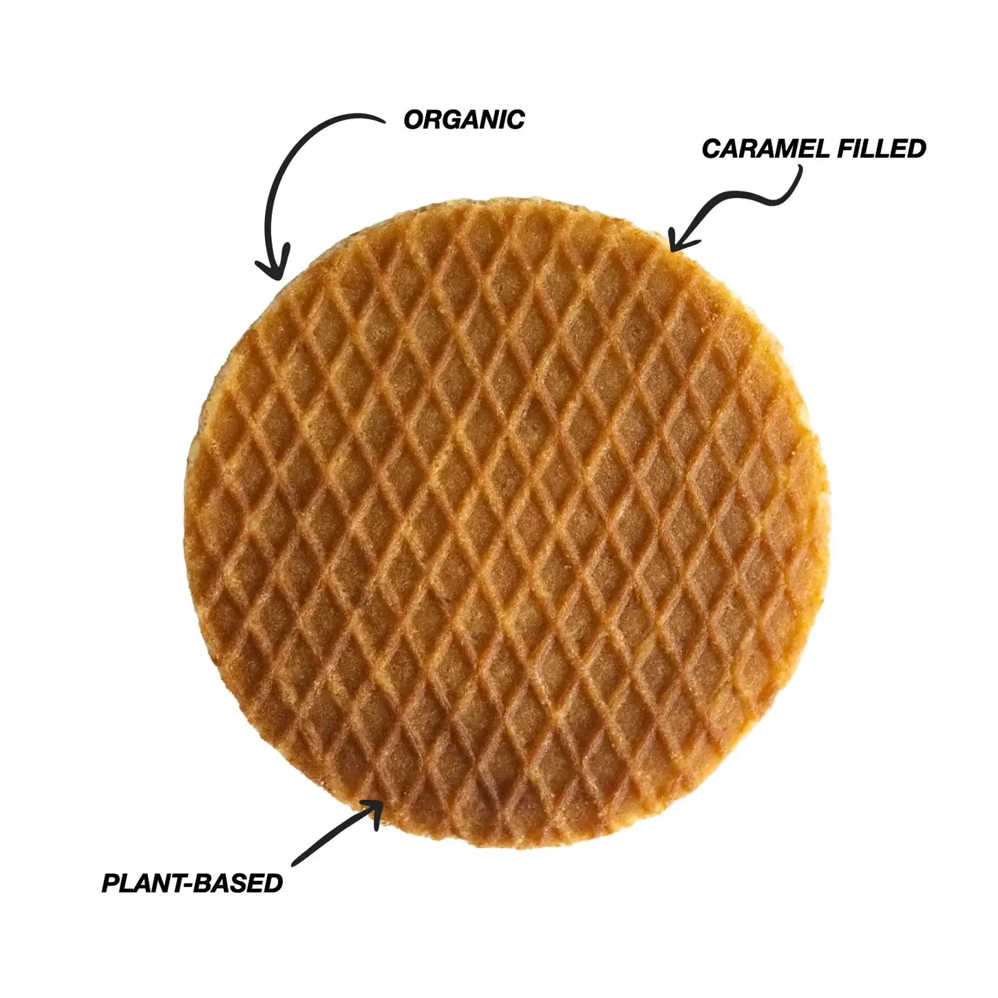 Caramel Stroopvafels - Box of 12 - New Blue Packaging!!