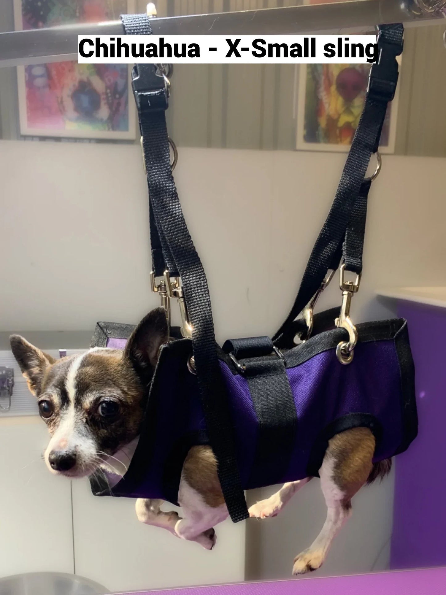 PET GROOMING SLING