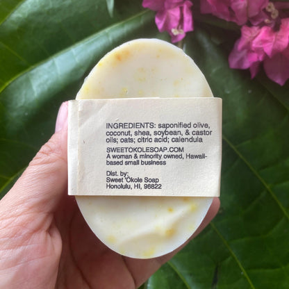 Natural Pet Shampoo, Sensitive Skin Dog & Cat Soap, Gentle Unscented Pet Wash