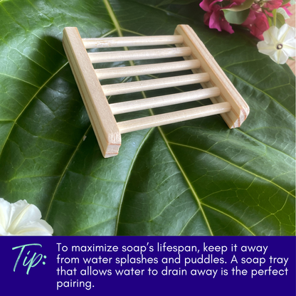 Lavender & Clary Sage Soap with Noni & Essential Oils