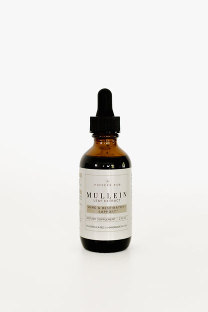 Mullein Tincture: Respiratory + Immune System Support